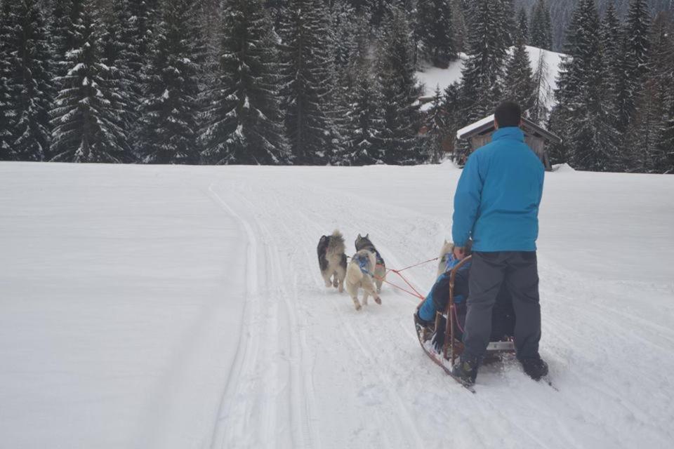 Bed and breakfast Eirl Dolomites Retreat Sappada Extérieur photo