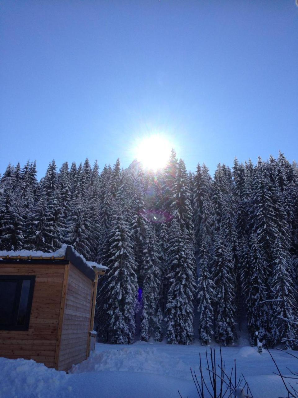 Bed and breakfast Eirl Dolomites Retreat Sappada Extérieur photo